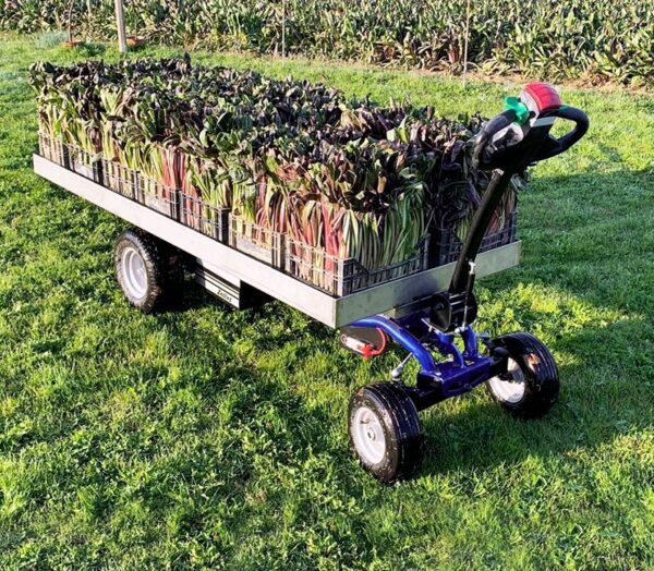 JESPI L - Motorized cart with 4 wheels and platform - Image 6