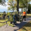 JESPI L - Elektrische transporter met laadbak - Afbeelding 10