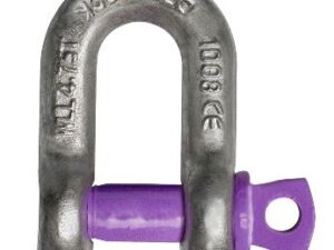 Screw pin chain shackle