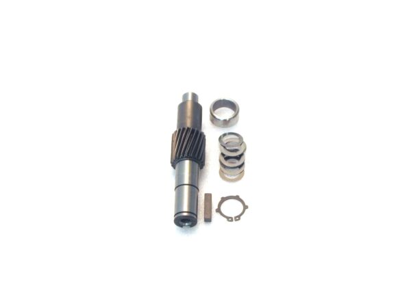 Pinion shaft set Z21M1